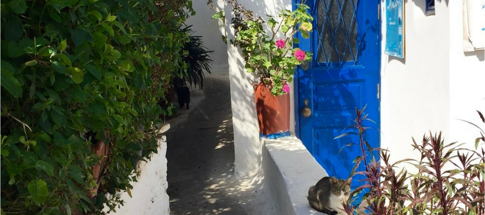 ANAFIOTIKA, UN AIR DES CYCLADES AU PIED DE L’ACROPOLE